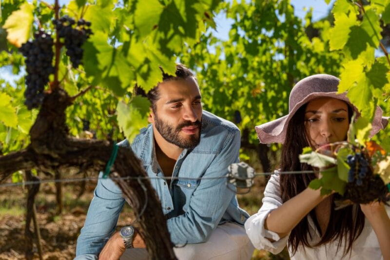 Montepulciano: Wine Tasting with typical Tuscan Cold Cuts - Key Points / Takeaways