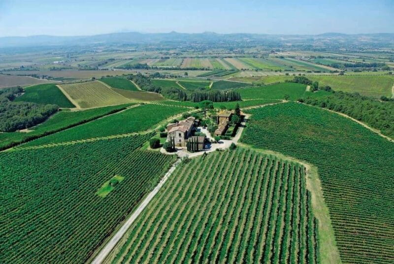 Montepulciano: Wine Tour and tasting - Key points / Takeaways