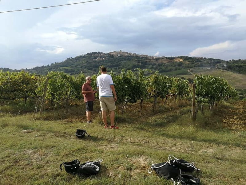 Montepulciano: Wine Tour E-Bike Experience - Visiting Wineries: From Cellar Tours to Tasting Bliss