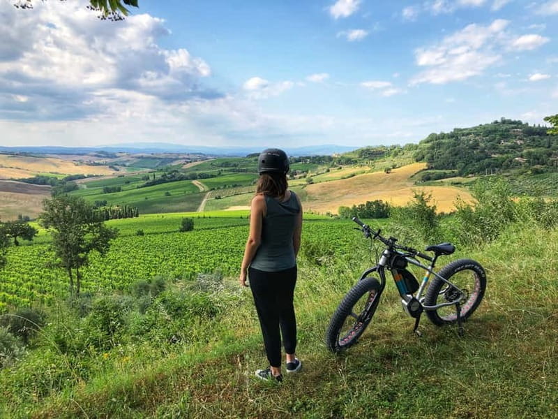 Montepulciano: Wine Tour E-Bike Experience - Who Will Love This Tour?
