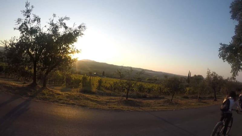 Montepulciano: Wine Tour E-Bike Experience - Price and Value Considerations