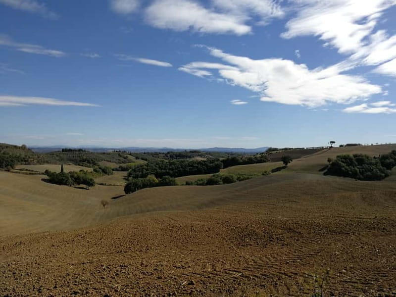 Montepulciano: Wine Tour E-Bike Experience - Final Thoughts: Who Should Sign Up?