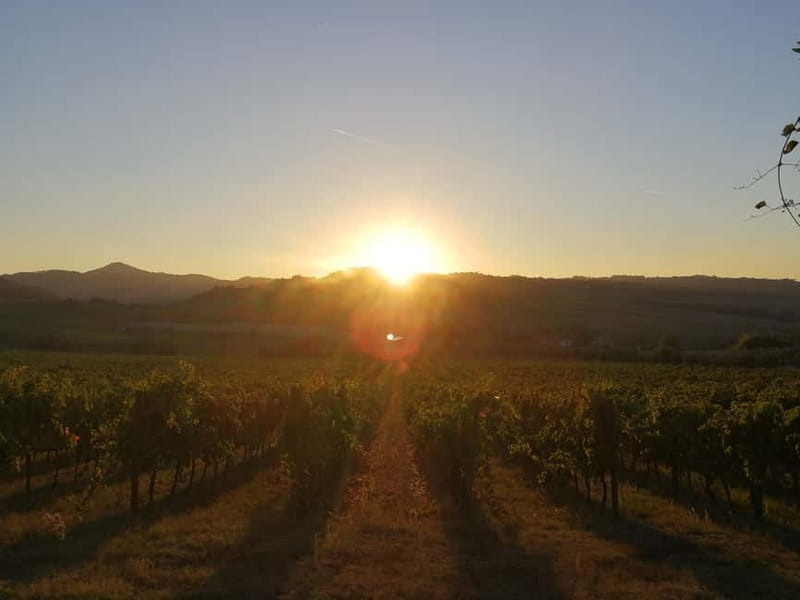 Montepulciano: Wine Tour E-Bike Experience - FAQ