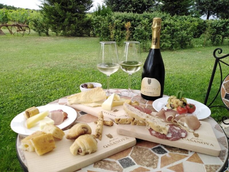 Montepulciano: Winery Tour, Tasting, and Vineyard Picnic - Tasting & Relaxation: Savoring the Flavors