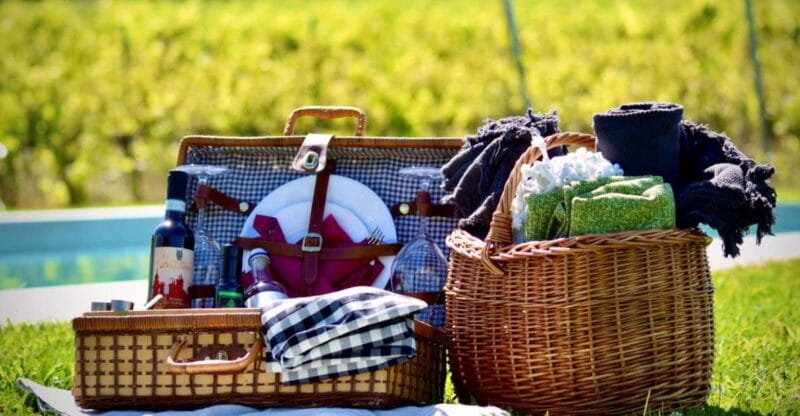 Montepulciano: Winery Tour, Tasting, and Vineyard Picnic - Logistics & Practical Details