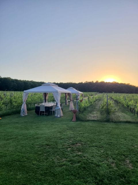 Montepulciano: Winery Tour, Tasting, and Vineyard Picnic - Frequently Asked Questions