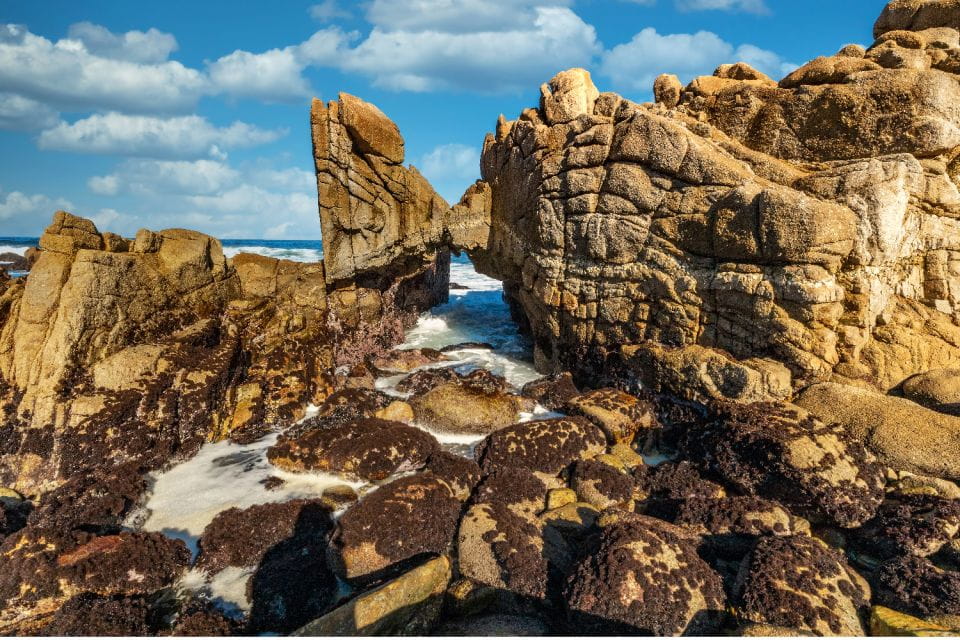 Monterey: 17-Mile Drive Self-Guided Audio Tour - Tour Features