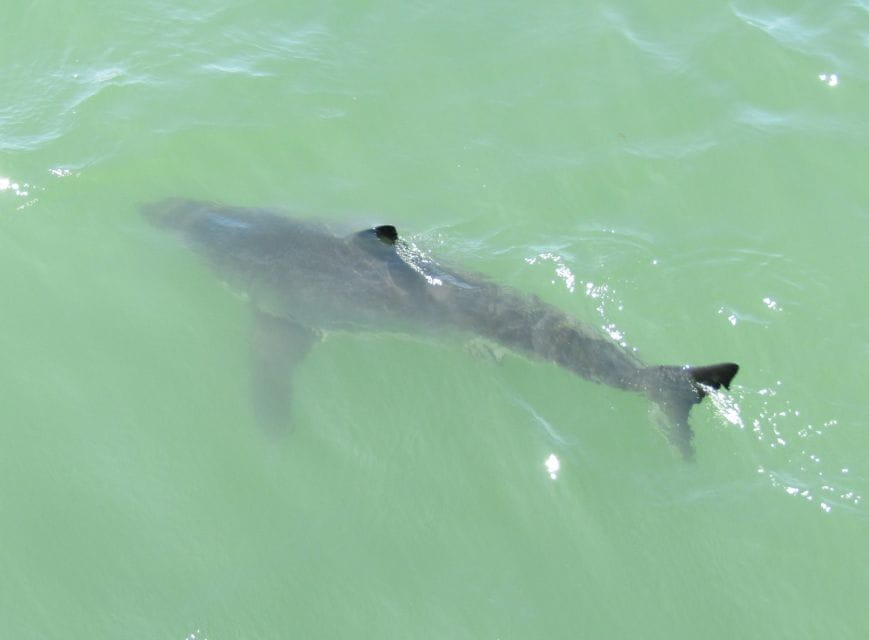 Monterey: Whale Watching Cruise - Meeting Point and Logistics