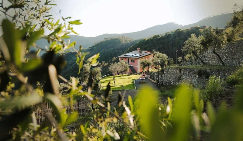 Monterosso al Mare: "Make your Pesto" Cooking Class- 5 Terre - An In-Depth Look at the "Make Your Pesto" Cooking Class