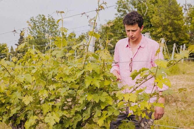 Montevecchio Isolani wine tasting experience - A Closer Look at the Itinerary