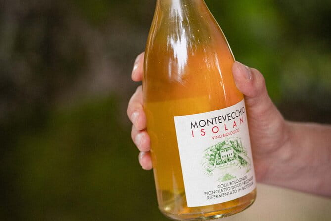 Montevecchio Isolani wine tasting experience - Final Thoughts: Is It Right For You?