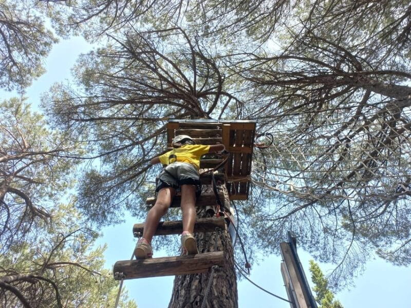 Monti Rossi Adventure Park Entry Ticket Full - Key Points / Takeaways