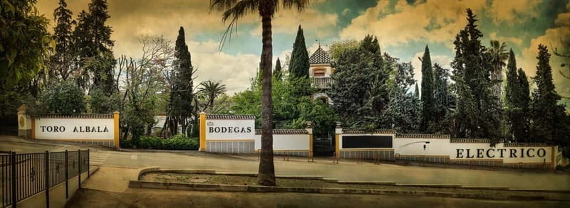 Montilla-Moriles Sweet Wine Tasting Pedro Ximenez - Key points / Takeaways