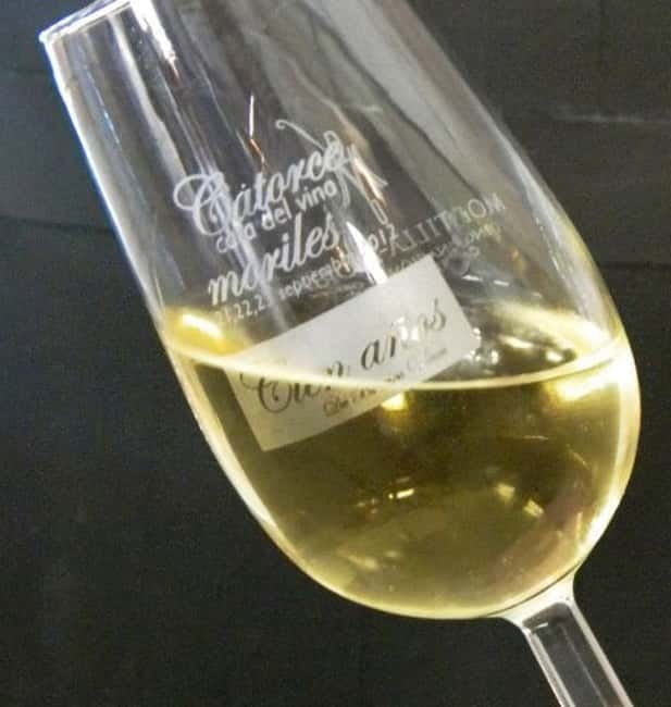 Montilla-Moriles Wine Tasting - Key Points / Takeaways