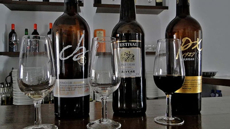 Montilla-Moriles Wine Tasting - The Value of the Experience
