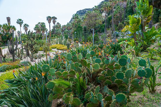 Montjuïc Cable Car Entry Voucher With Audio Tour on Your Phone - Overview of the Experience