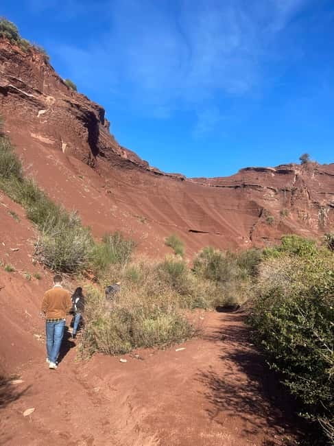 Montpellier: Celles, Capitelles & Local Wine Tasting Tour - Key Points and Takeaways