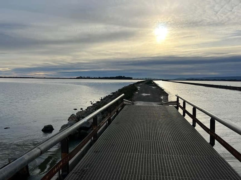 Montpellier: Guided Electric Bike Ride Along the Coast - FAQ