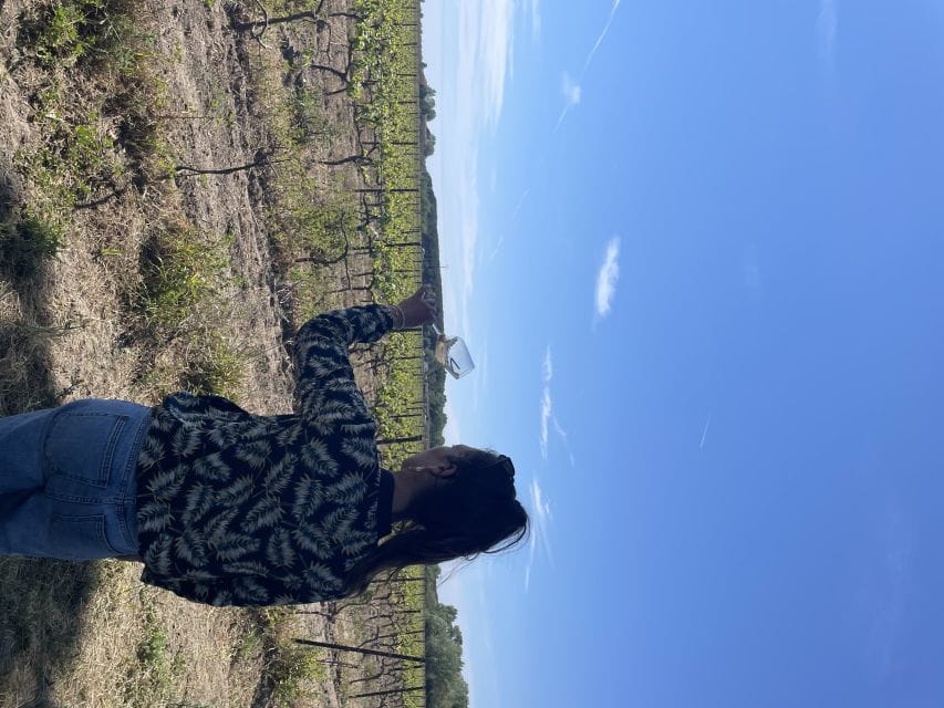 Montpellier: Half-Day Wine Tour in Camargue - Itinerary Highlights