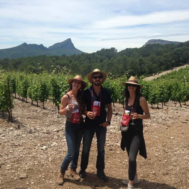 Montpellier: Pic Saint-Loup Wine Tour - Price and Practical Considerations