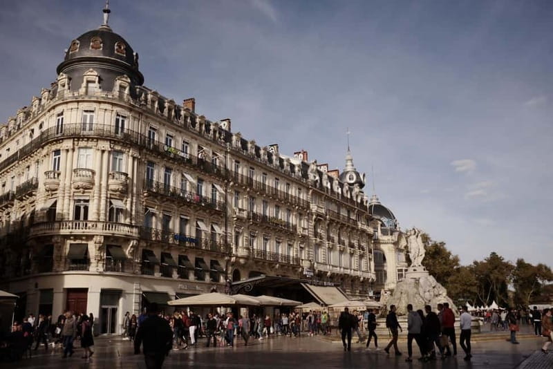 Montpellier: Private Guided Walking Tour - Practical Details and Value