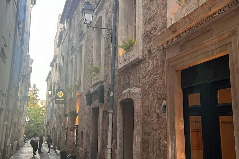 Montpellier: Private Walking Tour with Licensed Guide - Discovering Montpellier: A City of Contrasts and Character