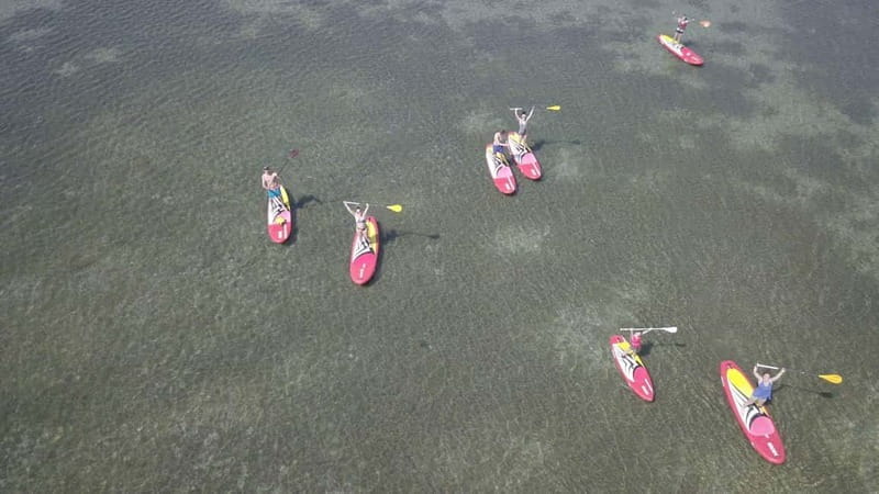 Montpellier: Stand-Up Paddleboarding Discovery Tour - Crossing the Canal and Following the Towpaths