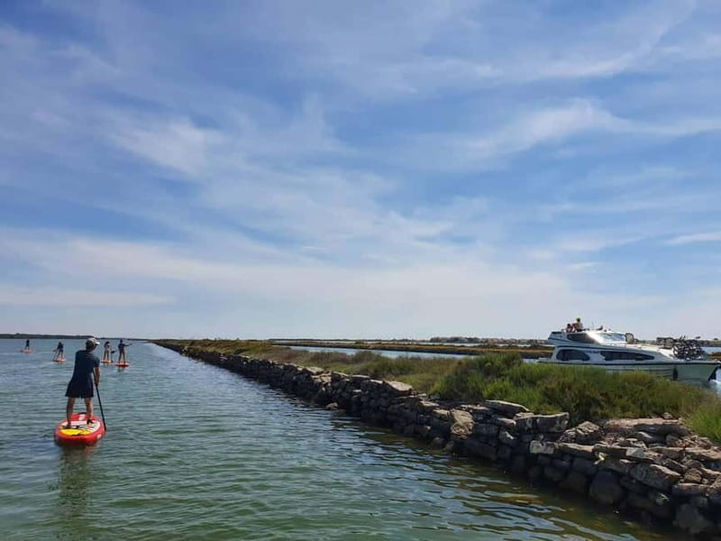 Montpellier: Stand-Up Paddleboarding Discovery Tour - Discovering the Nature Reserve