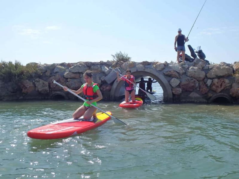 Montpellier: Stand-Up Paddleboarding Discovery Tour - Price, Logistics, and Practical Considerations