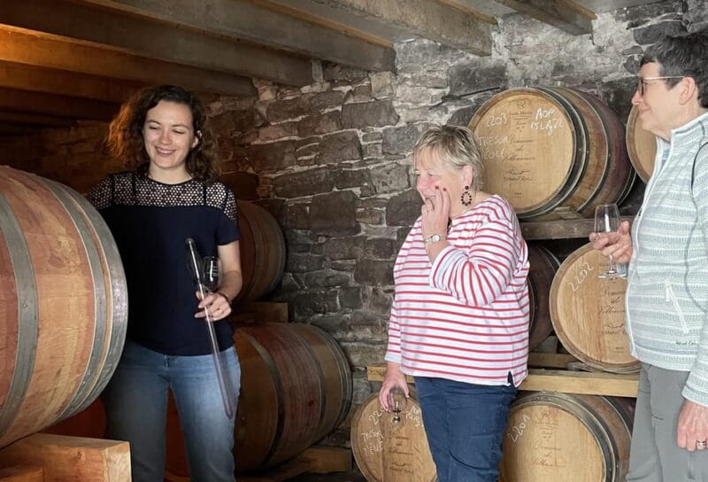 Montpellier : Wine Tour Pic St Loup - Key points / Takeaways