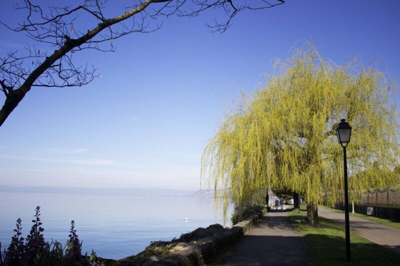 Montreux - Private Walking Tour - Who This Tour Is Best For