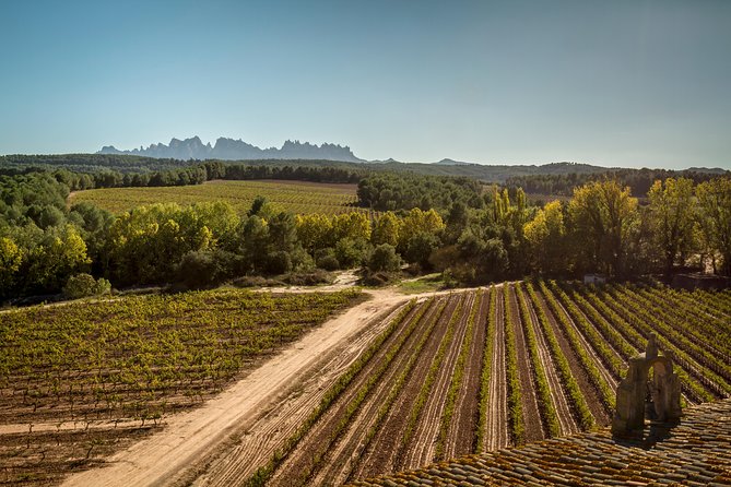 Montserrat: Make Your Own Custom Tour - Catalan Lunch and Winery