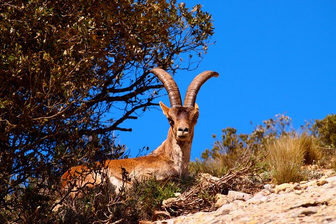Montserrat Monastery With Easy Hike & Sitges Tour From Barcelona - Cancellation Policy and Restrictions