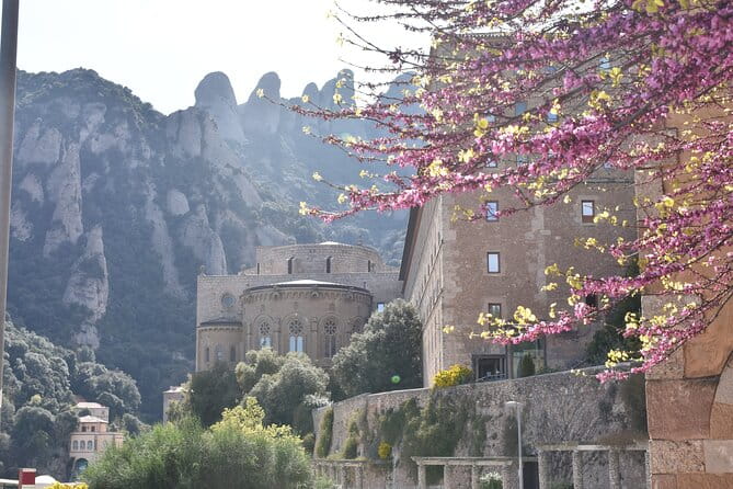 Montserrat Mountain Hiking Tour to Sant Jeroni, Small Group - Who Will Love This Tour?