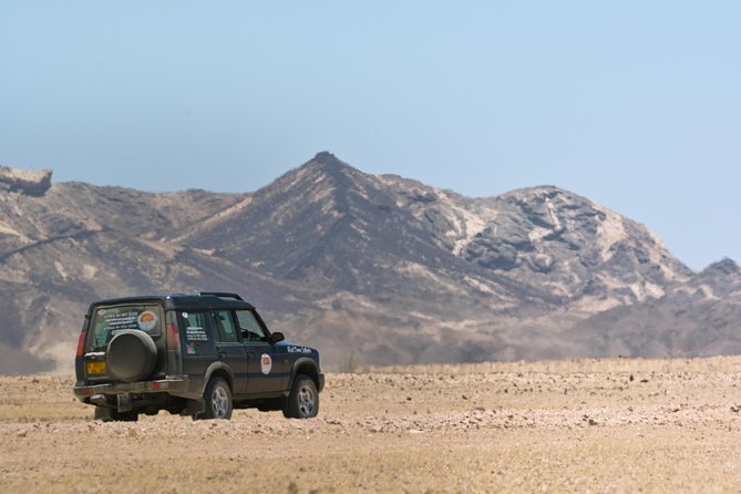 Moon Landscape and Welwitschia 4x4 Half-Day Tour From Walvis Bay - Tour Overview