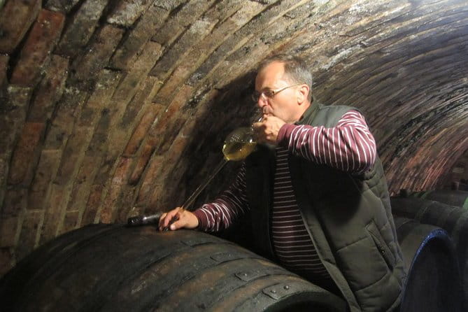 Moravian wine trails - The Towns and Surroundings: Mikulov and Beyond