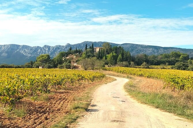More than a wine tour : day like a local in authentic countryside - More than a wine tour: a day like a local in authentic Provence