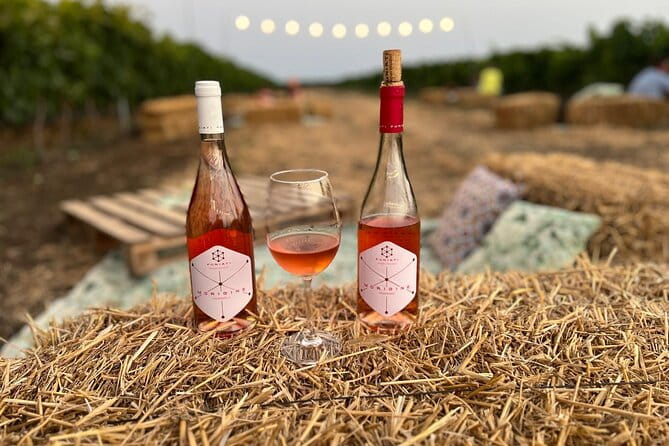 Morigine Wine Lovers-Aperitif in the Vineyard at Sunset - Why Sunset Timing Makes a Difference