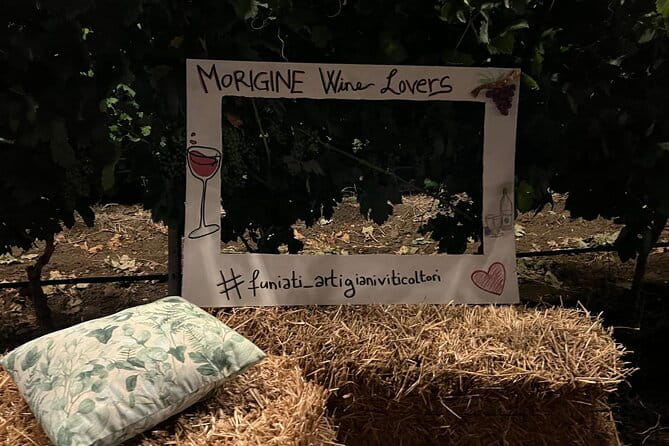 Morigine Wine Lovers-Aperitif in the Vineyard at Sunset - Price and Practical Details