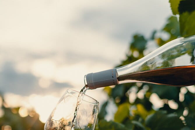 Morigine Wine Lovers-Aperitif in the Vineyard at Sunset - Final Thoughts: Is It Worth It?