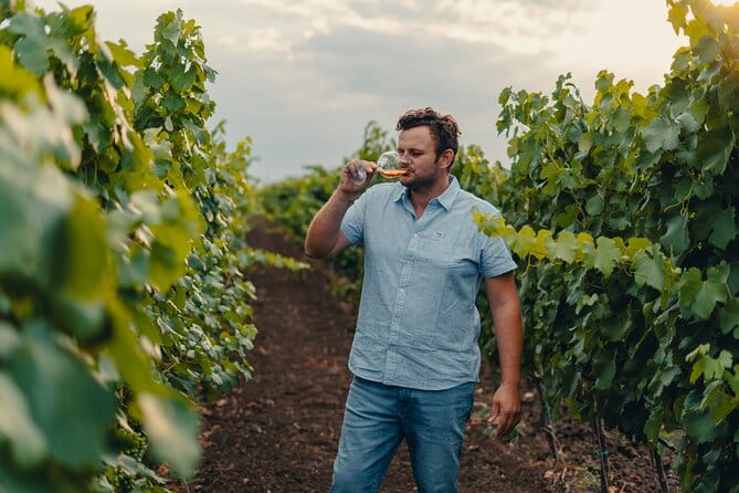 Morigine Wine Lovers-Aperitif in the Vineyard at Sunset - FAQ