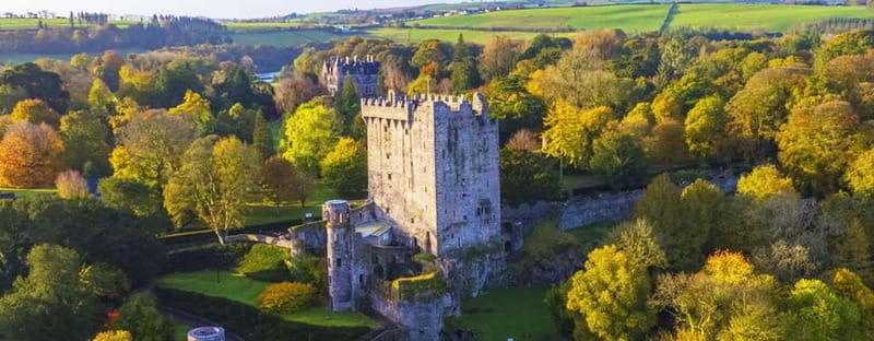 Morning Blarney Castle & Kinsale Half Day Tour from Cork - Key points / Takeaways