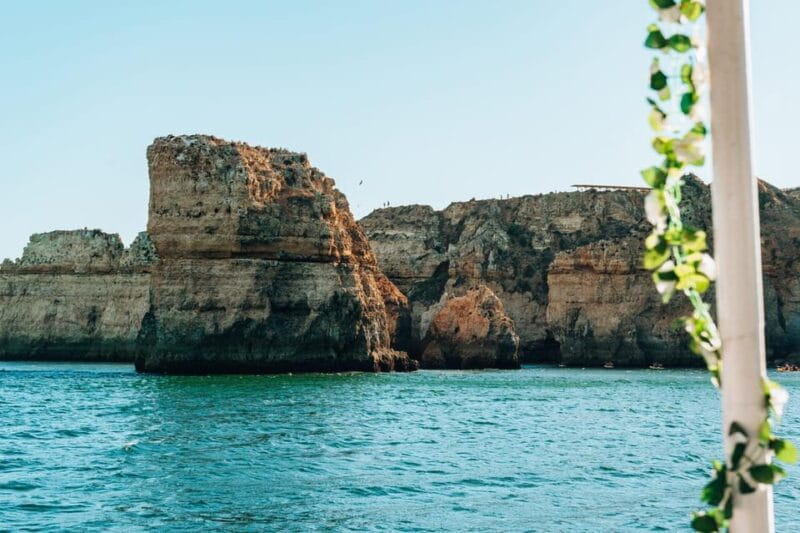 Morning Coastal Cruise - Final Thoughts: Is This Tour Right for You?