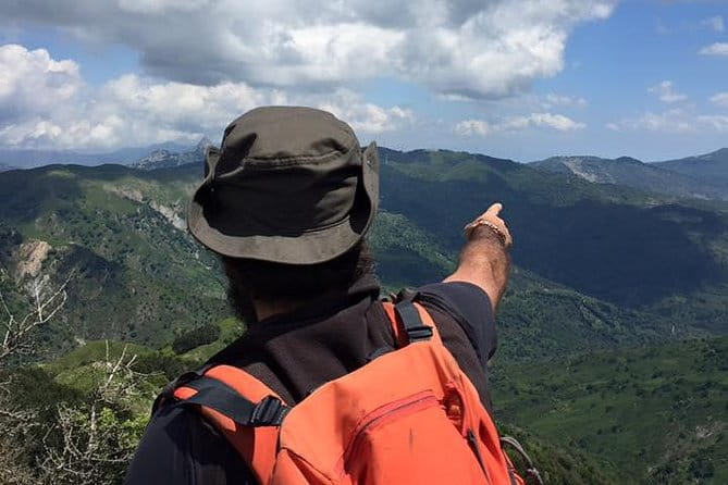 Morning excursions Etna / Etna Morgen Tour - Diving Into the Experience: A Detailed Review