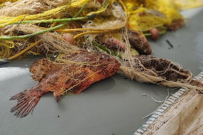 Morning Group Cruise from Milos To Polyaigos - What Travelers Love Most