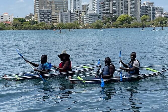 Morning Kayak Tour in Condado Lagoon - Tour Operator