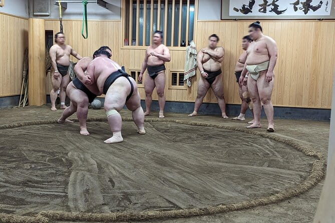 Morning Sumo Practice Viewing in Tokyo - Capturing Memorable Moments