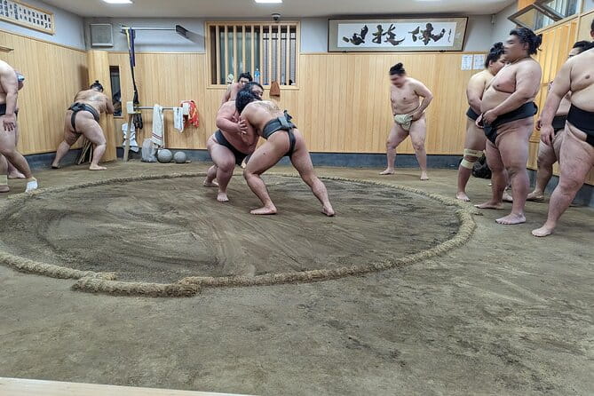 Morning Sumo Practice Viewing in Tokyo - Traveler Feedback and Recommendations
