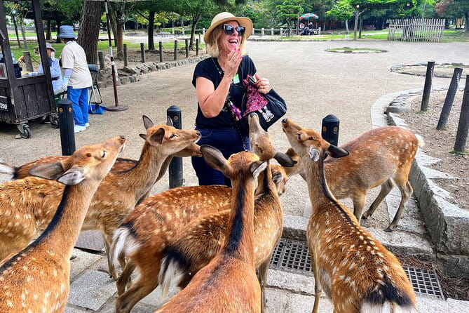 Morning Wonder World Heritage Nara Guided Tour - Key Points