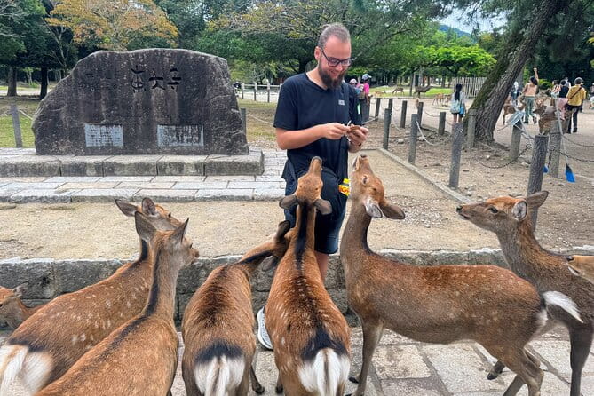 Morning Wonder World Heritage Nara Guided Tour - Tour Conditions and Policies